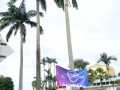 Tn dsc 7375